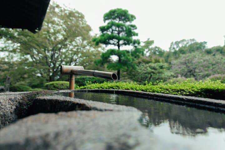Enter the Unseen: A VIP Monk-Guided Experience at Kiyomizu-dera — photo 8