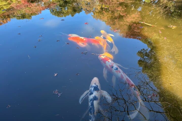 Tokyo Castle & Imperial PalaceーShogun Walking Tour — photo 6