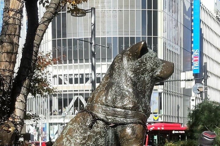 Hachikō, Hachi, Tale of a Faithful Dog, Mystery Tour — photo 1