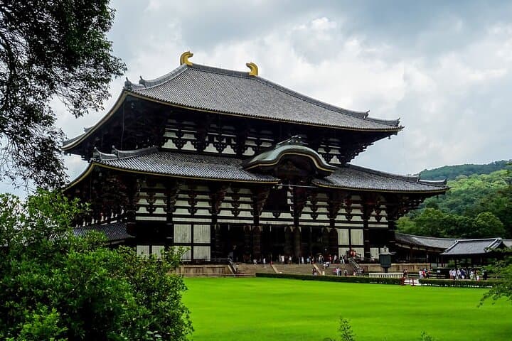 From Osaka, Nara Private Customizable Day Tour — photo 7