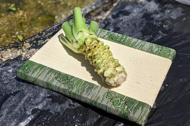 Wasabi Farm Walking Tour & Lunch — photo 5