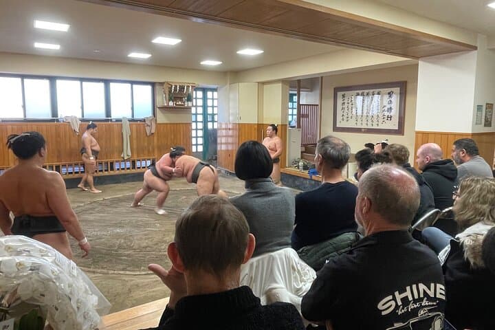 Chair Seat Guaranteed SUMO Practice +Photo +Culture Option — photo 18