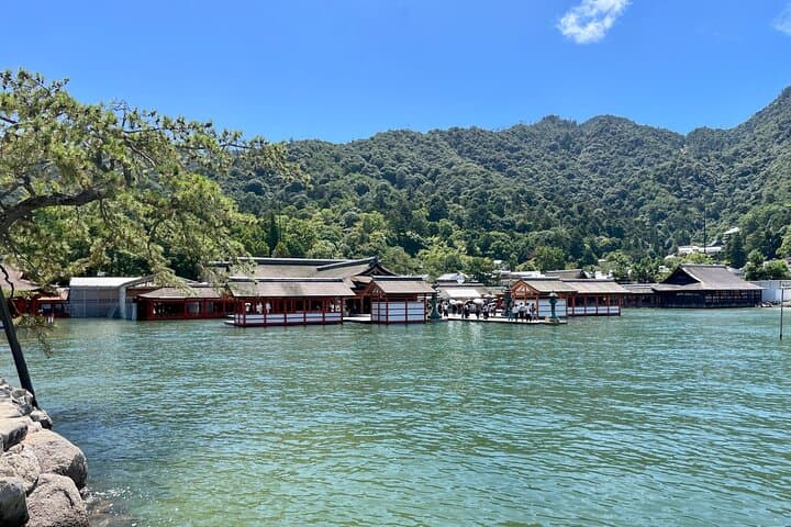 Miyajima Highlights: Itsukushima Shrine & Island Nature — photo 11