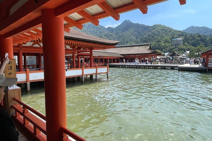 Miyajima Highlights: Itsukushima Shrine & Island Nature — photo 14
