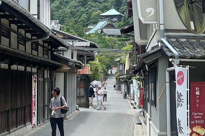 Miyajima Highlights: Itsukushima Shrine & Island Nature — photo 19
