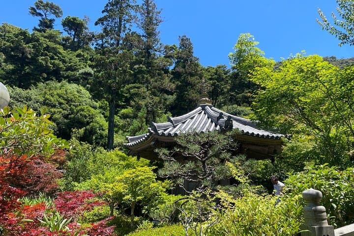 Miyajima Highlights: Itsukushima Shrine & Island Nature — photo 8