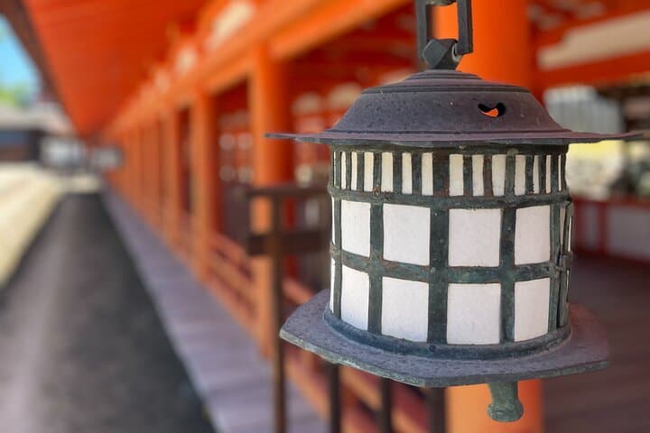 Miyajima Highlights: Itsukushima Shrine & Island Nature — photo 20