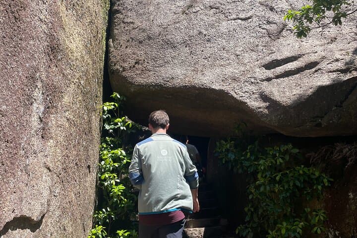 Miyajima Highlights: Itsukushima Shrine & Island Nature — photo 10