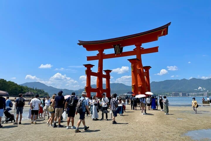 Miyajima Highlights: Itsukushima Shrine & Island Nature — photo 17