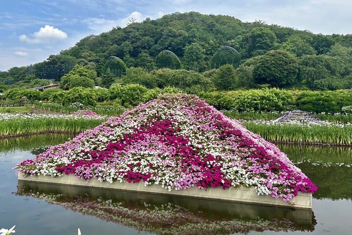 Day Trip Ashikaga Flower Park by Private Car from Tokyo — photo 6