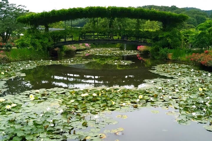 Day Trip Ashikaga Flower Park by Private Car from Tokyo — photo 9