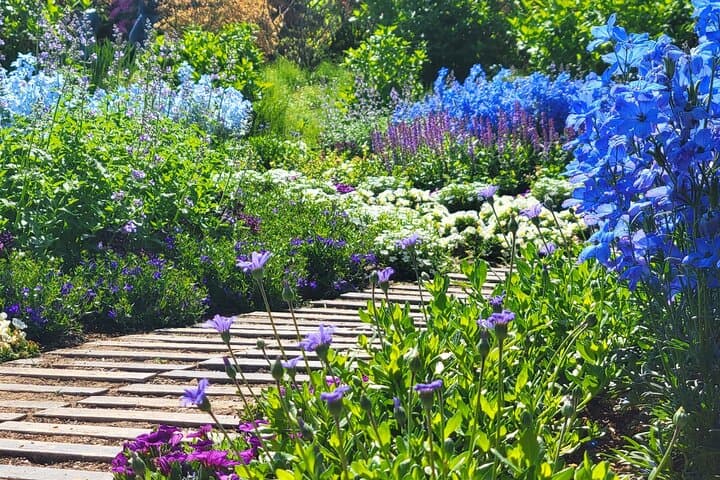 Day Trip Ashikaga Flower Park by Private Car from Tokyo — photo 11
