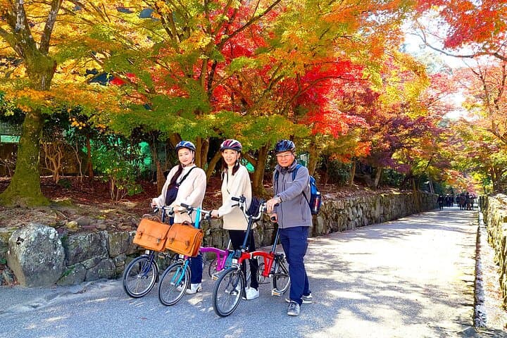 Slow Cycling Tour at Uji's Matcha Green Tea Fields and Heritage — photo 13