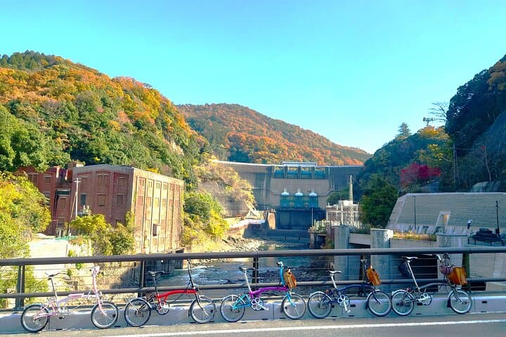 Slow Cycling Tour at Uji's Matcha Green Tea Fields and Heritage — photo 8