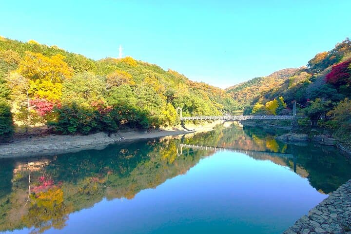 Slow Cycling Tour at Uji's Matcha Green Tea Fields and Heritage — photo 4