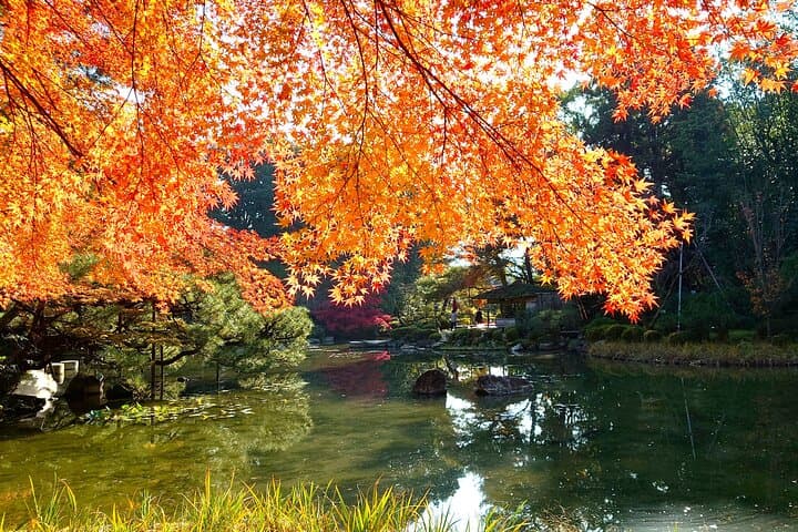 Kyoto: Higashiyama Slow Cycling Tour along the quiet waterfront — photo 14