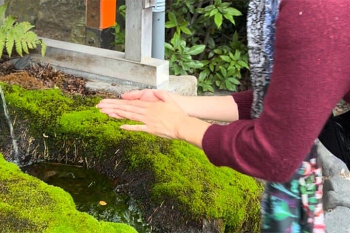Kyoto: Temple Yoga, Tour of Four Spring Waters & Nourishing Lunch — photo 7