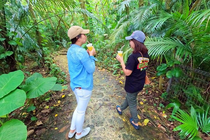 Ishigaki Island Private Tour with Local guide in English — photo 6