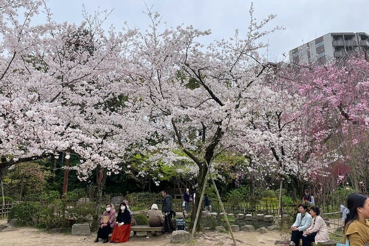 Hiroshima History Tour : A-Bomb Dome, Peace Memorial & City — photo 12