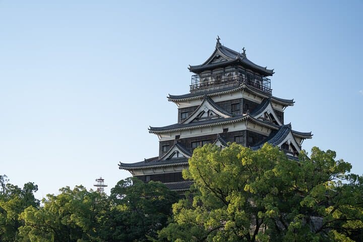 Hiroshima History Tour : A-Bomb Dome, Peace Memorial & City — photo 6