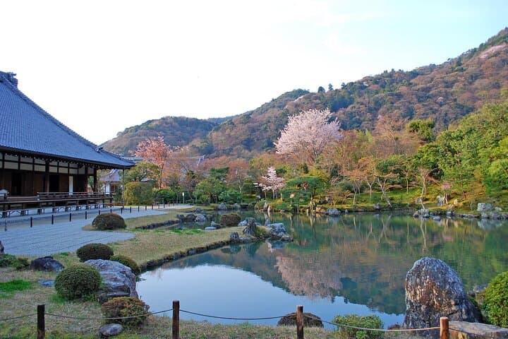Half Day Kyoto Sagano Bamboo Grove & Arashiyama Walking Tour — photo 12