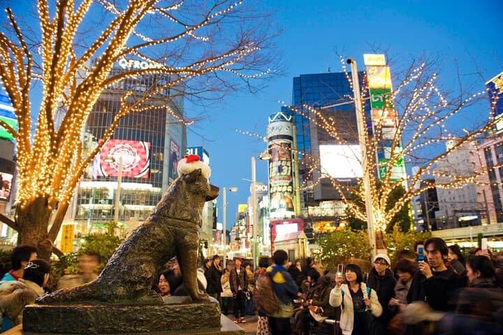 Private Tour in Tokyo 5 Cities and 10 Points Day or Night — photo 6