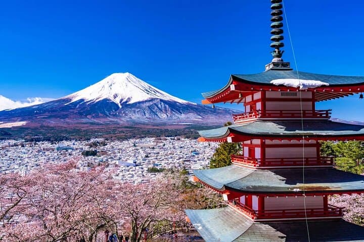 1 Day Private Tour Fuji FujiQ Kawaguchiko Pagoda — photo 1