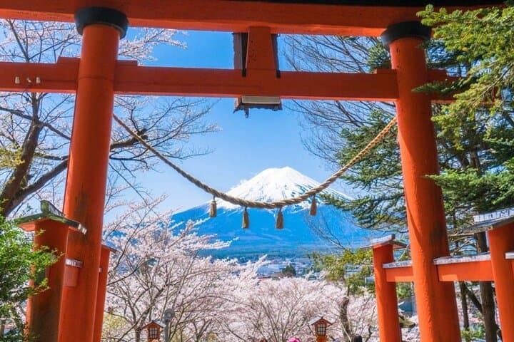1 Day Private Tour Fuji FujiQ Kawaguchiko Pagoda — photo 2