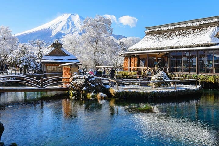 1 Day Private Tour Fuji FujiQ Kawaguchiko Pagoda — photo 4