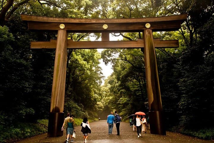 Tokyo Private Tour by Van with English Guide and Photography — photo 3