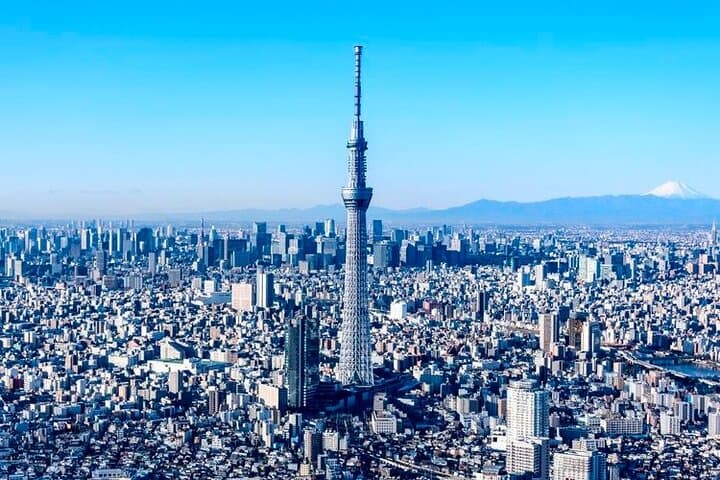 Tokyo Private Tour by Van with English Guide and Photography — photo 13