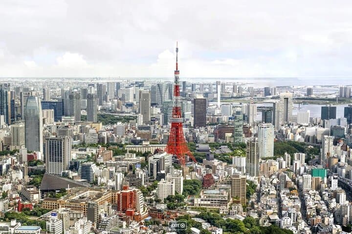 Tokyo Private Tour by Van with English Guide and Photography
