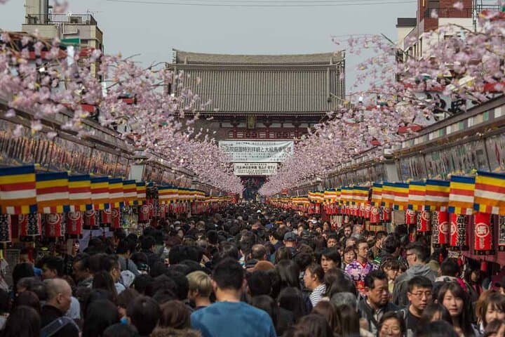 Tokyo Private Tour by Van with English Guide and Photography — photo 12