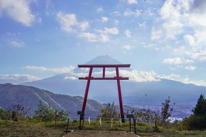 Mt. Fuji Private Chartered Tour with Nature and Wasabi Farm — photo 7