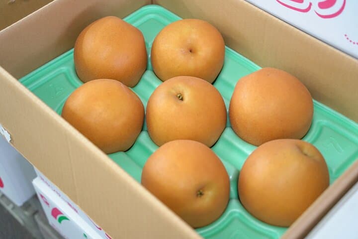 Mt. Fuji Private Chartered Tour with Nature and Wasabi Farm — photo 18