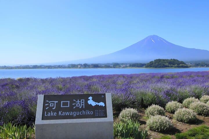 Mount Fuji Full Day Sightseeing Tour from Tokyo — photo 11