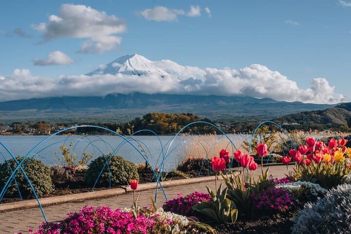 Mount Fuji Full Day Tour form Tokyo Lake Kawaguchi & Yamanaka — photo 18