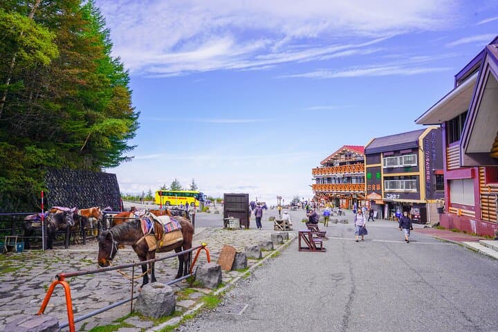 Mt. Fuji Private Chartered Tour with Nature and Wasabi Farm — photo 3