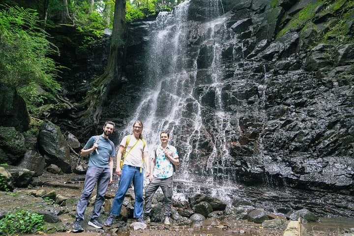 Mt. Fuji Private Chartered Tour with Nature and Wasabi Farm — photo 4