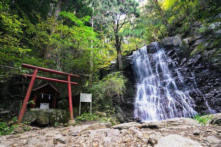 Mt. Fuji Private Chartered Tour with Nature and Wasabi Farm — photo 5