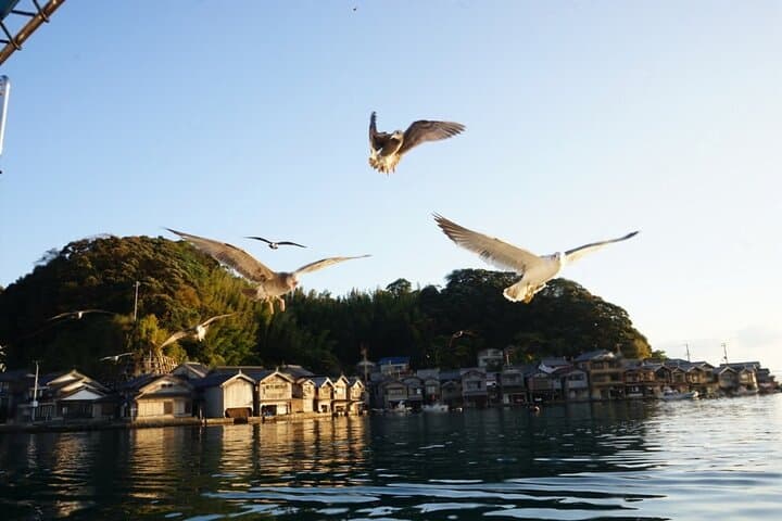 Amanohashidate and Ine Bay Private Trip from Kyoto — photo 4
