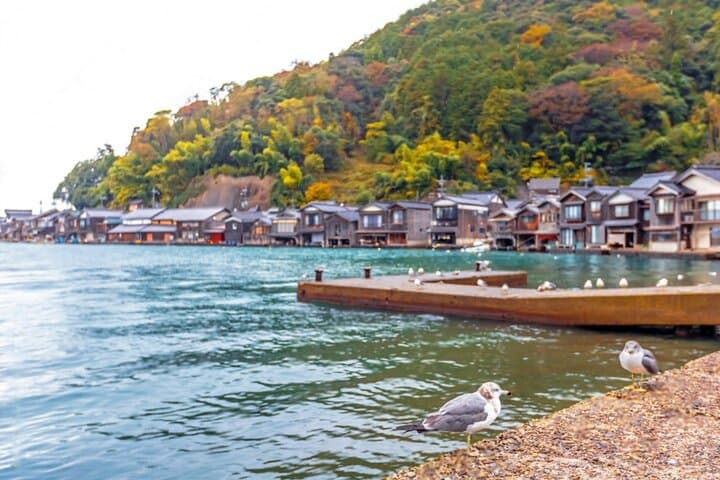 Amanohashidate and Ine Bay Private Trip from Kyoto — photo 6