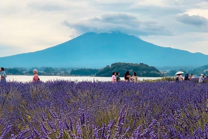 Fuji and Hakone Private Tour with English Guide and Photography — photo 3