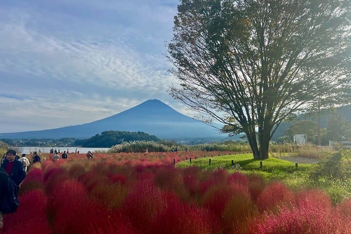 Fuji and Hakone Private Tour with English Guide and Photography — photo 6