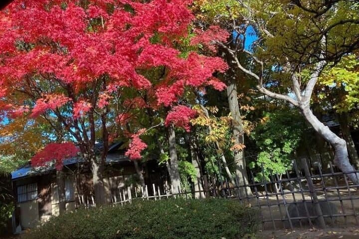 Calligraphy Experience at an Old House near Matsumoto Castle — photo 8