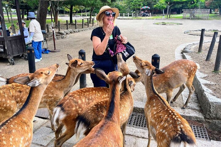 Morning Wonder World Heritage Nara Guided Tour — photo 3