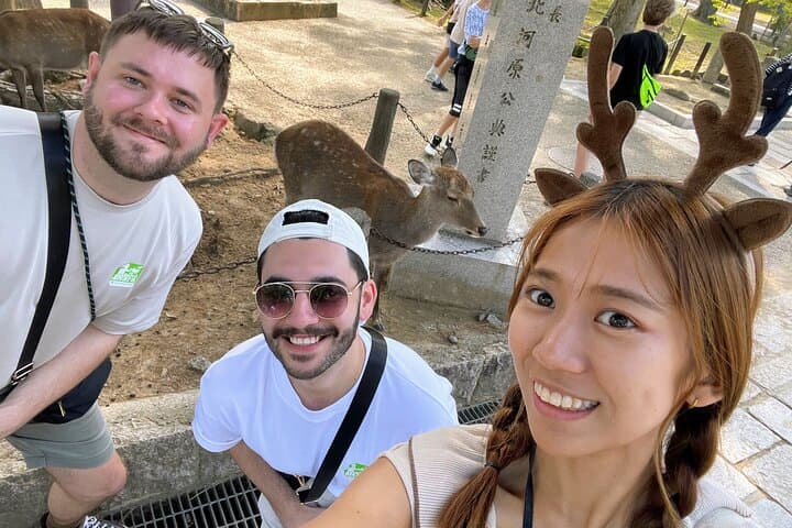 Morning Wonder World Heritage Nara Guided Tour — photo 8