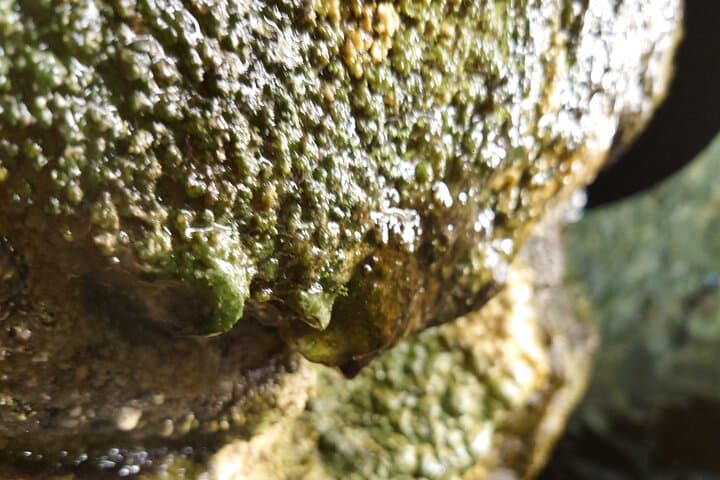 Experience Iwate Hidden Cave — photo 6