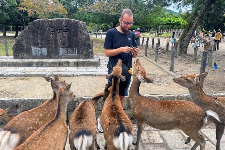 Morning Wonder World Heritage Nara Guided Tour — photo 9
