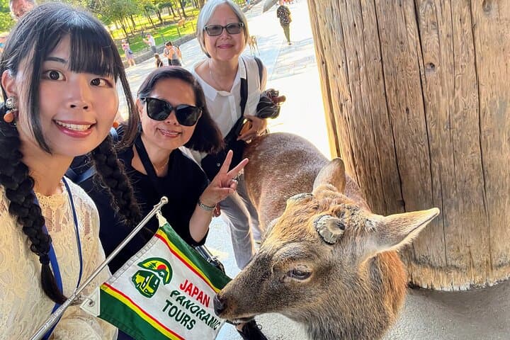 Morning Wonder World Heritage Nara Guided Tour — photo 5
